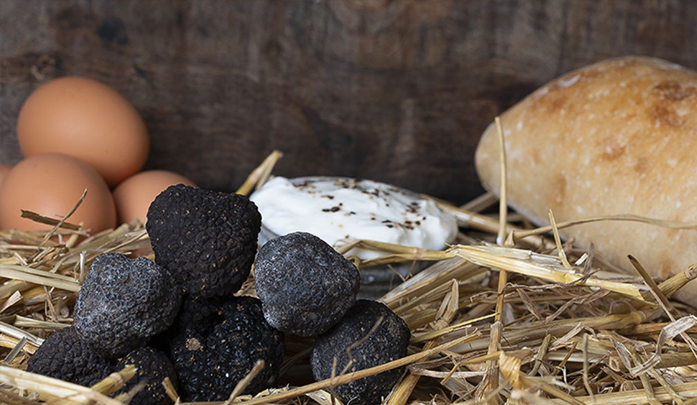 Les amateurs de Fromage