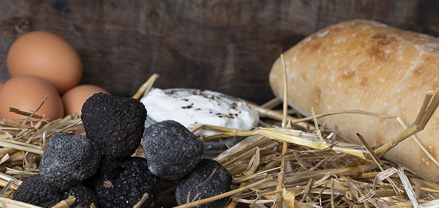 les sandwichs d'Hiver